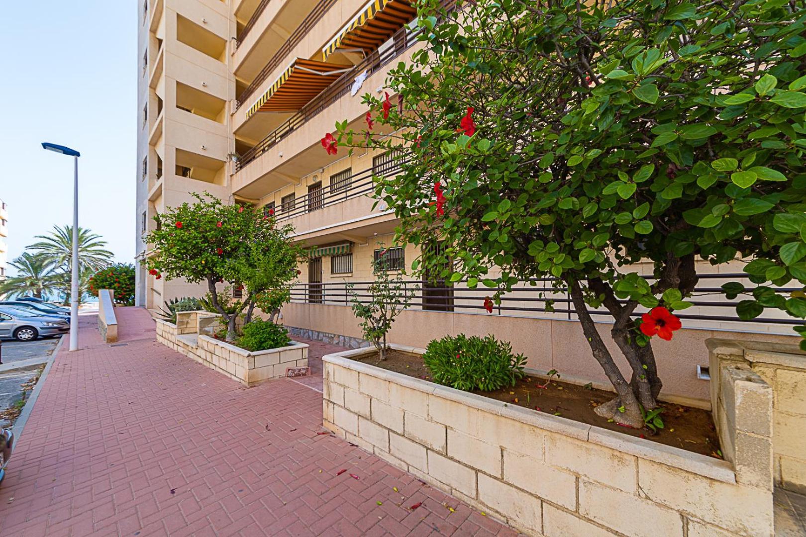 Miramar Magic Sea & Sunrise View Apartment Торевиеха Екстериор снимка