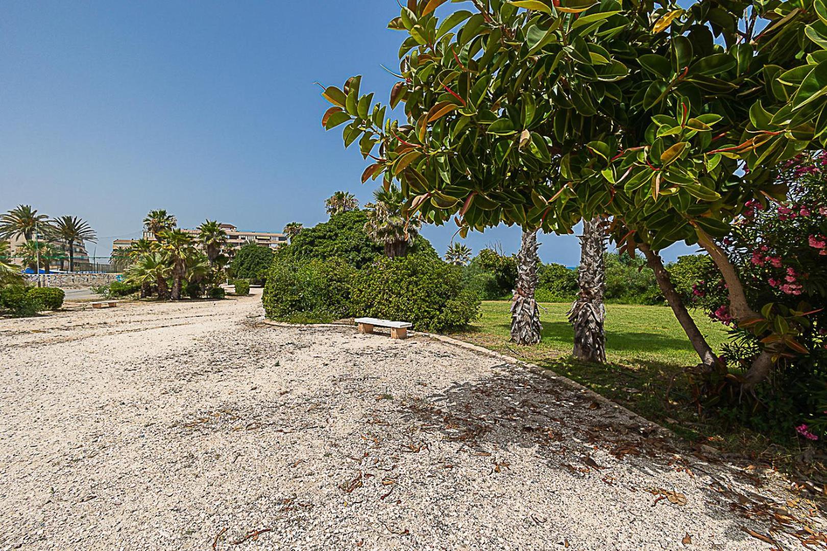 Miramar Magic Sea & Sunrise View Apartment Торевиеха Екстериор снимка